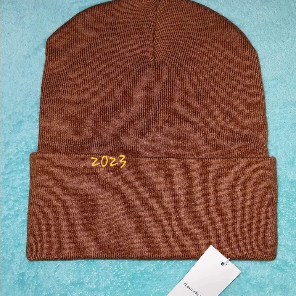 Abercrombie and Fitch Logo Beanie NWT